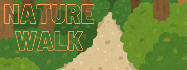 NATURE WALK NATURE WALK