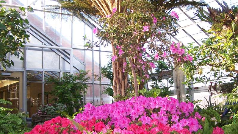 Oak Park Conservatory