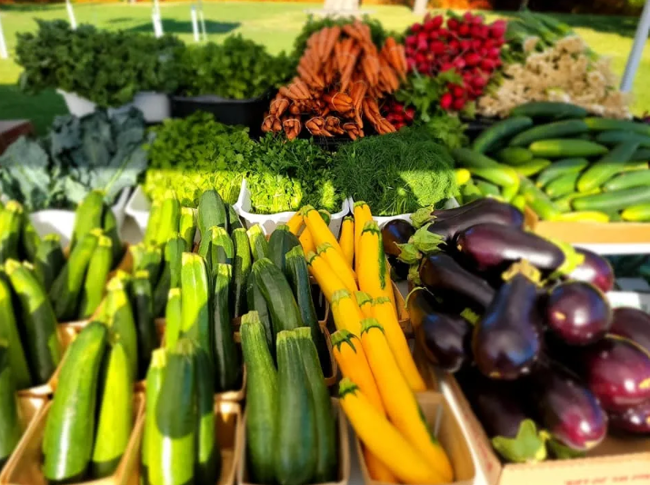 fallveggies